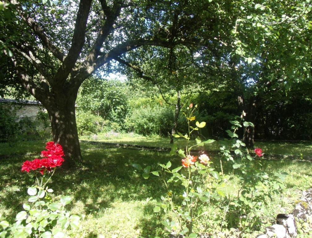Le Grand Jardin Bed & Breakfast Beaune  Luaran gambar